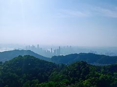 -大金鹰园