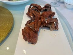 脆皮乳鸽-老洋房花园饭店(绍兴路店)