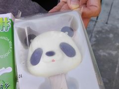 -都江堰中华大熊猫苑