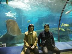 -福州罗源湾海洋世界旅游区