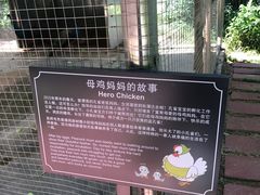 -厦门悦华酒店