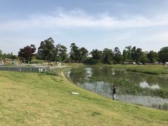 -两河城市森林公园