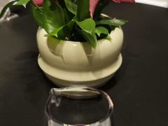 -金粤九号(李公堤店)