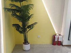 -J-Optical佳视明眼镜·蔡司视觉(青岛金茂览秀城店)
