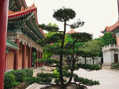 -广东圆玄道观