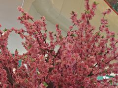 -莲花国际广场