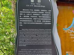 -常德桃花源景区