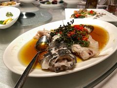 -上海金桥红枫万豪酒店-万豪中餐厅