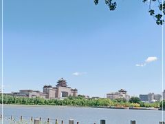 -莲花池公园