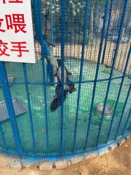 -萌宠亲子动物乐园(槐房万达店)