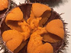 -常鲜楼常来尝鲜海胆馆(星海店)