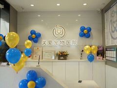 -关爱宠物医院·猫科中心·消化科(滨湖万达分院)