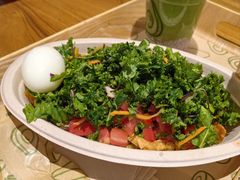 -油梨树 AVOCADO TREE(亮马桥店)