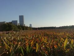 -艾溪湖湿地公园