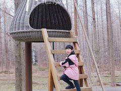 -黄海国家森林公园