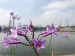 -食膳公园包子铺(烈士公园店)