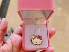-安吉Hello Kitty乐园