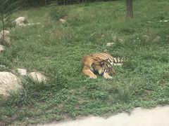 -西安秦岭野生动物园