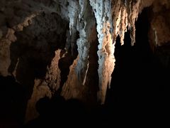 -怀托摩萤火虫洞