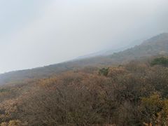 -紫金山山顶公园