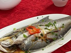 -蛇口康乐快餐鱼仔档(翠苑小区店)