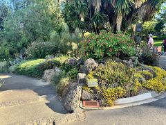 -墨尔本皇家植物园