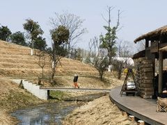 -湖南东洞庭湖国家级自然保护区