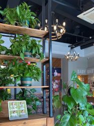 -江阴偶来路儿童摄影(江阴市新体育中心体育场店)