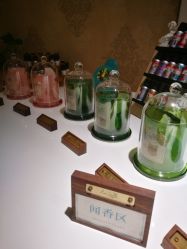 -东方美美容SPA会所