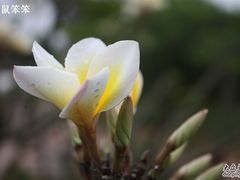 -白沙门生态公园