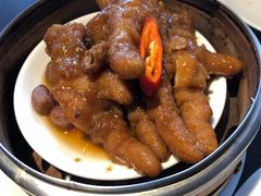 -MR鹅外