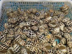 -钱山海鲜大排档