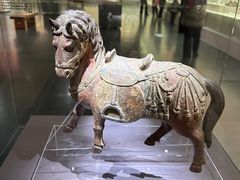 -衢州市博物馆