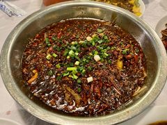 -八0一首创霍老七老螺蛳(万东镇龙景园店)