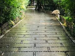 -大鹅岛绿色生态美食园