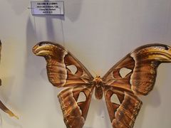 -吉林省自然博物馆