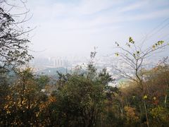 -茶颜悦色(岳麓山顶店)