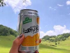-关山草原