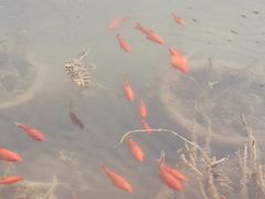 -桑干河大峡谷旅游区