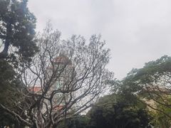 -厦门大学(思明校区)