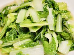 时蔬-院里寻菜·精致庭院菜(观沙岭店)