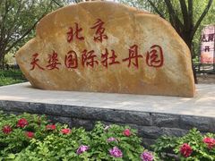 -太阳宫公园