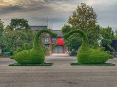 -泗洪洪泽湖湿地景区