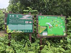 -海南热带野生动植物园
