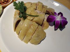 -新高记·粤菜·湛江鸡(南头古城店)