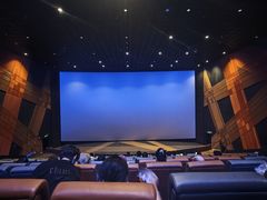 -金逸影城(大悦城IMAX激光店)