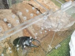 -正佳雨林生态植物园