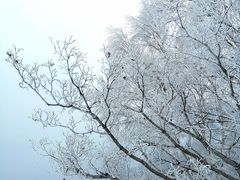 -富龙滑雪场