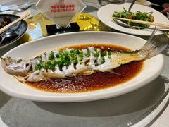 -金美华轩(东方路齐鲁店)