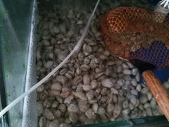 -雅逸居海鲜小厨